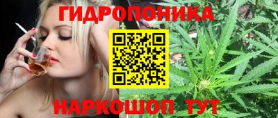 гашик Балашиха