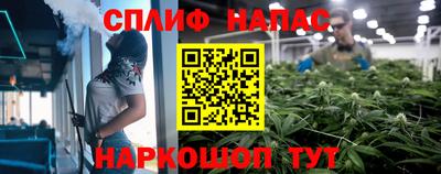 гашик Балашиха